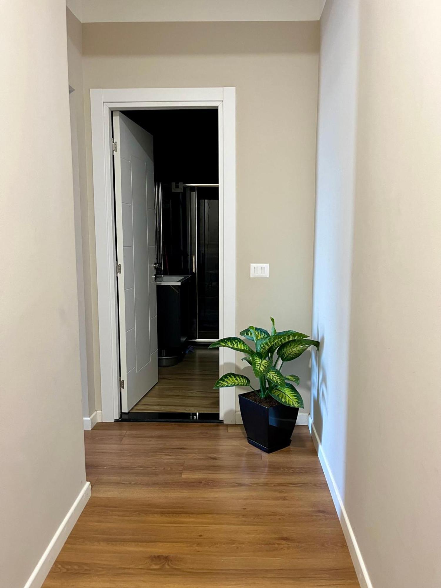 City Center Cozy Apartment 地拉那 外观 照片
